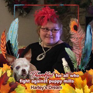 Meet your Posher, Denise